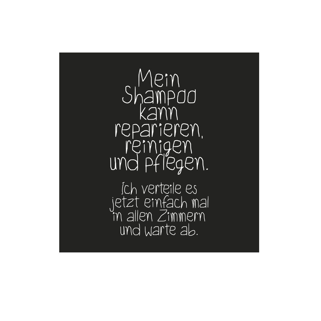 Kühlschrankmagnet Shampoo